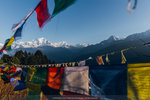 IMG_8591