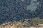 IMG_8735