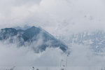 IMG_8881