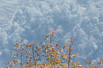IMG_9568