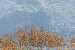 IMG_9569