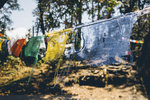 P1190784