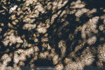 P1190798
