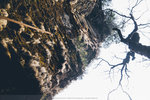 P1190842