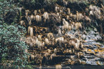 P1190853