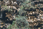 P1190856