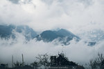 P1190901