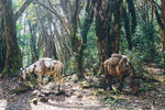 P1200031