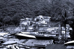 IMG_1309