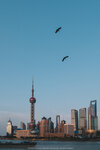 8-Shanghai-0064-P1290060