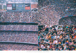 82m1