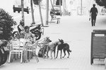 IMG_8195