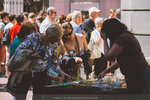 IMG_8705