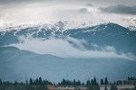 IMG_1263