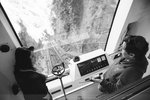 IMG_7805