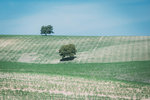 IMG_0140