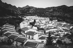 IMG_0517