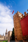 P1150497