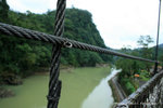 IMG_4595