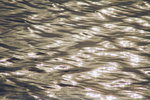 IMG_3478