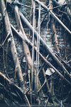 P1230293