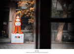 IMG_6373