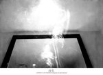 L1150804