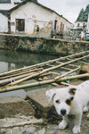 1-Tangmocun-0070-P1890417