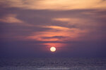 0173-PHI_8486