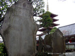 DSC02220