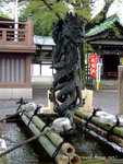 DSC02255