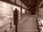 DSC02270