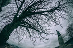 8b-0201-IMG_7766