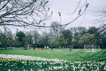 8b-0222-IMG_7834