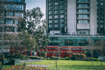 8b-0545-IMG_8136