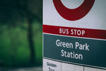 8b-0572-IMG_8237
