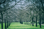 8b-0603-IMG_8297
