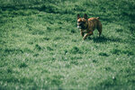 8b-0604-IMG_8299