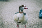 8b-0728-IMG_8365