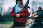8b-0735-IMG_8390