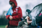 8b-0739-IMG_8399
