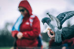 8b-0740-IMG_8402