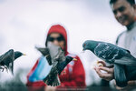 8b-0742-IMG_8408