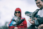 8b-0743-IMG_8409