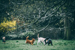 8b-0758-IMG_8461