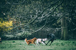 8b-0759-IMG_8462
