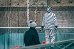 8b-1046-IMG_8761