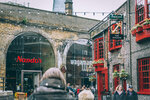 8b-1058-IMG_8795
