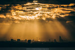 8b-1164-IMG_9002