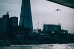 8b-2260-IMG_0777